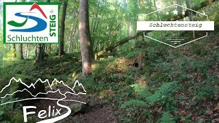 Schluchtensteig Tag 1 mit Wutachflühen  Top Trail of Germany [upl. by Scully]