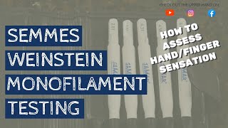 How to Administer the Semmes Weinstein Monofilament Test [upl. by Colyer]