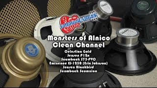 Monsters of Alnico Speaker Shootout Clean Settings Celestion Gold EJ1250 Scumnico Blackbird [upl. by Ynolem]