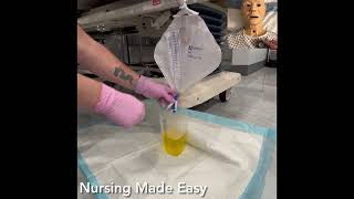 Nursing Skills Emptying The Urinary Drainage Bag [upl. by Asatan]