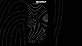 FD 258 Fingerprint Cards livescanfingerprinting passportphotos [upl. by Gary638]