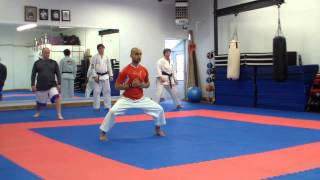 Karate Training Kihon Kata Kumite [upl. by Inad160]