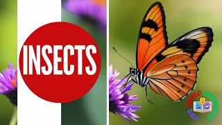 50 Name of Insects in English  Educational Videos for Children [upl. by Philbert]