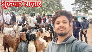 Friday Goat And Sheep market Channpatna🐐🐑armanzehen vlog big goasheepmarket channapatna [upl. by Tyne]