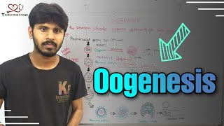 Oogenesis detail explanation in bangla [upl. by Jacquetta192]