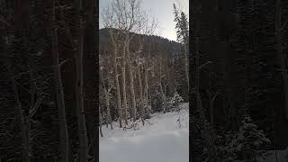 Hiking on a Snowy Evening hiking snowymountains snow [upl. by Jeanna880]