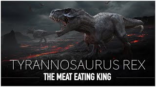 Tyrannosaurus Rex The Scariest amp Most Feared Dinosaur to Walk The Earth  Dinosaur Documentary [upl. by Maudie]