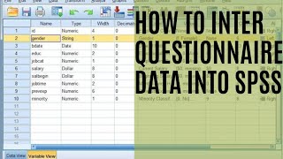 How to Enter Questionnaire Data in SPSS in urdu hindi SPSS QuestionnaireSurvey Data Entry [upl. by Zwiebel]