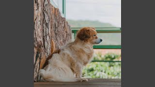 Breathtaking Music for Weekends with Pups [upl. by Ellinnet]