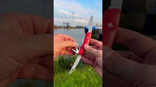 Swiza D05 authentic Swiss knife my edc 🇨🇭 [upl. by Zinah]