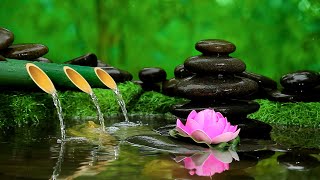 Beautiful Relaxing Music amp Bamboo Water Fountain  Relaxing Spa Music Therapy for Stress Relief [upl. by Kordula]