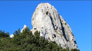 Sortie botanique au Pilon du Roi Bouches du Rhône fin juin [upl. by Jones533]