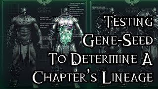 Testing GeneSeed To Determine A Chapter’s Lineage  40K Theories [upl. by Anirehc]