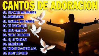 PODEROSAS CANCIONES CRISTIANAS PARA LIBERAR TU MENTE Y EL CORAZÓN 🕊️🕊️ SUPE QUE ME AMABAS 🙏🙏 [upl. by Novar]