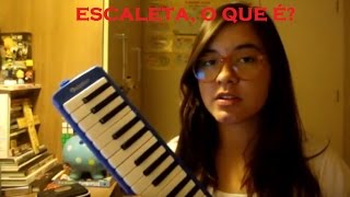 Escaleta o que é melodica pianica [upl. by Phox645]