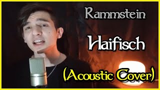 Rammstein  Haifisch Acoustic Cover by Talles Cattarin [upl. by Garvy530]