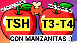 TSH T3 Y T4 CON MANZANITAS  HORMONAS TIROIDEAS [upl. by Alhan]