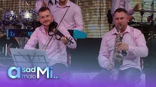 Orkestar Milosa Pavlovica Kike  Vlaski polet  LIVE  Tv Grand 09012024 [upl. by Bull]