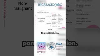 Leukocytosis Increased WBC [upl. by Coop569]