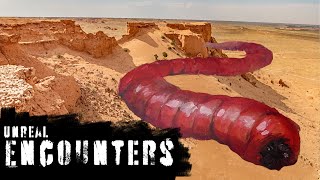 The Underground Horror of the Mongolian Death Worm  Unreal Encounters [upl. by Rosenberg]