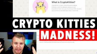 CRYPTO KITTIES 100K VALUE [upl. by Lletram469]