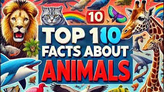 10 Animal Facts [upl. by Eornom]