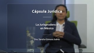 La Jurisprudencia en México IIJUNAM [upl. by Pate352]