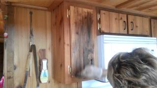 How to wax cedar wood cabinets by Julie Wieman [upl. by Etnahsal746]