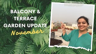 November mein yeh sab lagaya hai balcony aur terrace par  Terrace and Balcony Update [upl. by Jonati]