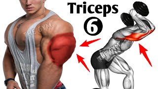 6 Effective Triceps Exercises to Grow Your Arms in 22 days [upl. by Caryl179]