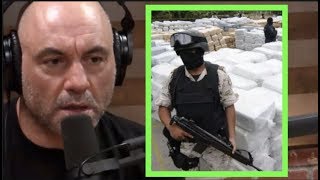 Joe Rogan  Mexican Drug Cartels Are There Any Solutions wIoan Grillo [upl. by Adnael510]