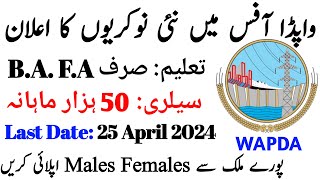 WAPDA Jobs New Ad 7 April 2024 • Otsorgpk Registration Form • Stenographer Clerk Application Form • [upl. by Clercq446]