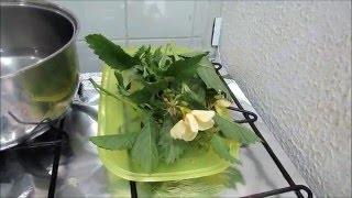 COMO CURAR INFECÇÃO URINÁRIA COM PLANTA MEDICINAL [upl. by Aneeras]