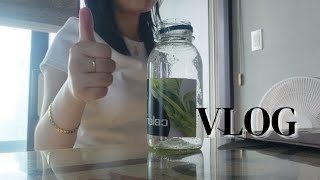 일상vlog 샐러리주스 매일 마셔보기✨️ [upl. by Nanaek]