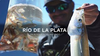 Pesca de Pejerrey del Río dela Plata  en busqueda de los grandes [upl. by Eniluqcaj]