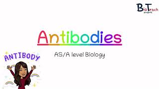 Antibodies Structure and function ASA level Biology  BioTeach [upl. by Huntlee]