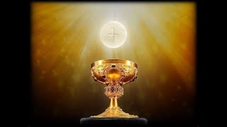 Eucharist Miracles Compilation [upl. by Diandra675]