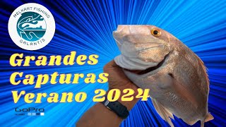 Grandes Capturas Verano 2024 Dentex Canariensis pescaembarcacioncadiz pescabahiadecadiz [upl. by Saile]