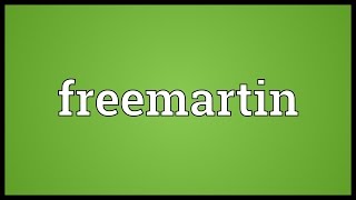 Freemartin Meaning [upl. by Ahs]