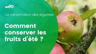 La conservation des fruits d’été [upl. by Capone]