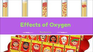 Effects of Oxygen on Bacteria Microbiology [upl. by Hawger]