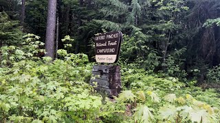 REVIEWING EACH CAMPSITE  Panther Creek Campground  Gifford Pinchot National Forest Washington 4K [upl. by Akinit887]