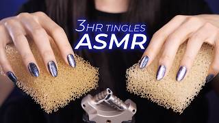 ASMR for People Who Don’t Get Tingles 3hr  Everyday Items Mildly Fast amp Intense No Talking [upl. by Ebag990]