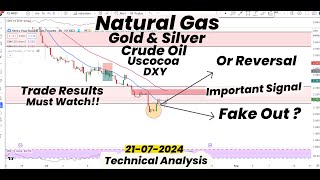 Natural Gas Fake out or Reversal Important Signal  Gold  DXY amp Major Commodities Analysis [upl. by Nahtanoj]