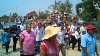 desfile de santos San Agustin Huixaxtla [upl. by Nodnil169]