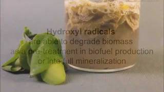 Biomass Decomposition by Advanced Oxidation with catalyzed hydrogen peroxide [upl. by Yevrah]