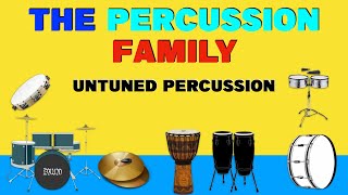 CLASSIFICATION OF MUSICAL INSTRUMENTS  The Percussion Familymusic lessons theory [upl. by Aikemet]