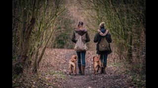 Beginner Gundog training exercise for steadiness quotround the clockquot [upl. by Namlak111]