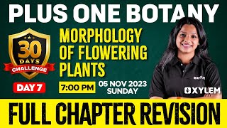 Plus One  Botany  Morphology of Flowering Plants  Xylem Plus One [upl. by Ottinger460]