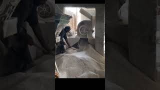 Pink salt manufacturing proces trending shorts shortsfeed short shortsvideo viralvideo [upl. by Airotcivairam]